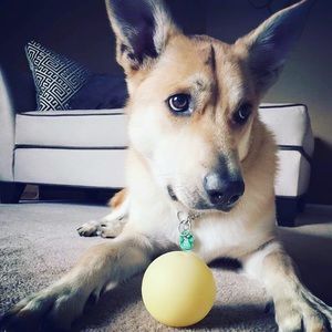 Meet your Posher, Kevin